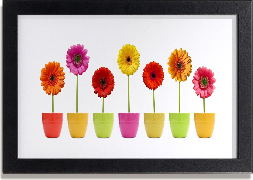 Bild 30x20 MDF-Rahmen, Wandkunst bunte Gerbera