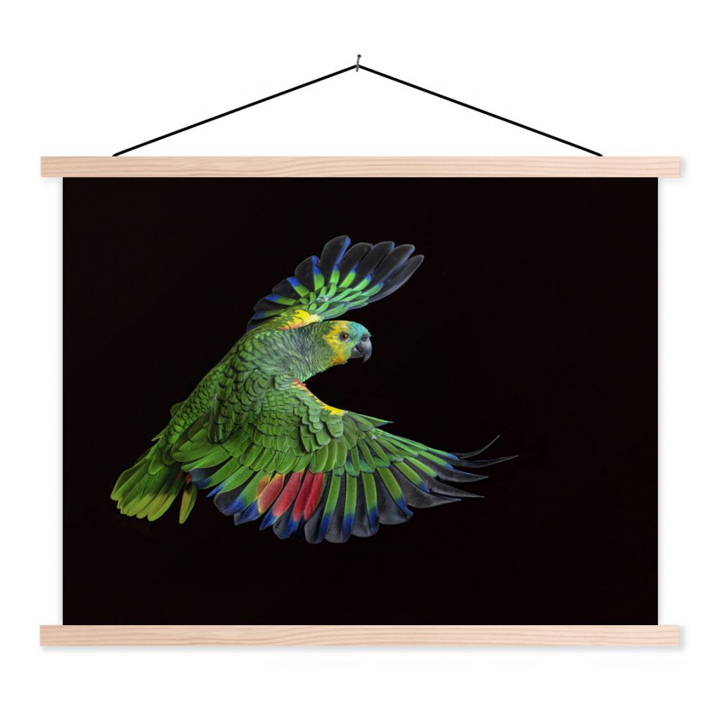 MuchoWow Textilposter Nahaufnahme bunter Papagei 40x30 cm mit holzfarbenen Rahmen - Bilder