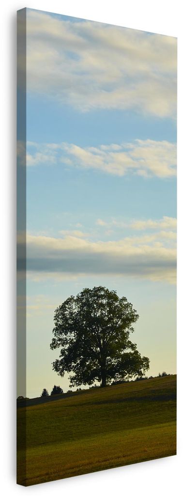 Leinwanddruck Natur Baum auf einer Wiese 40x120 cm Himmel Wiese Wolken