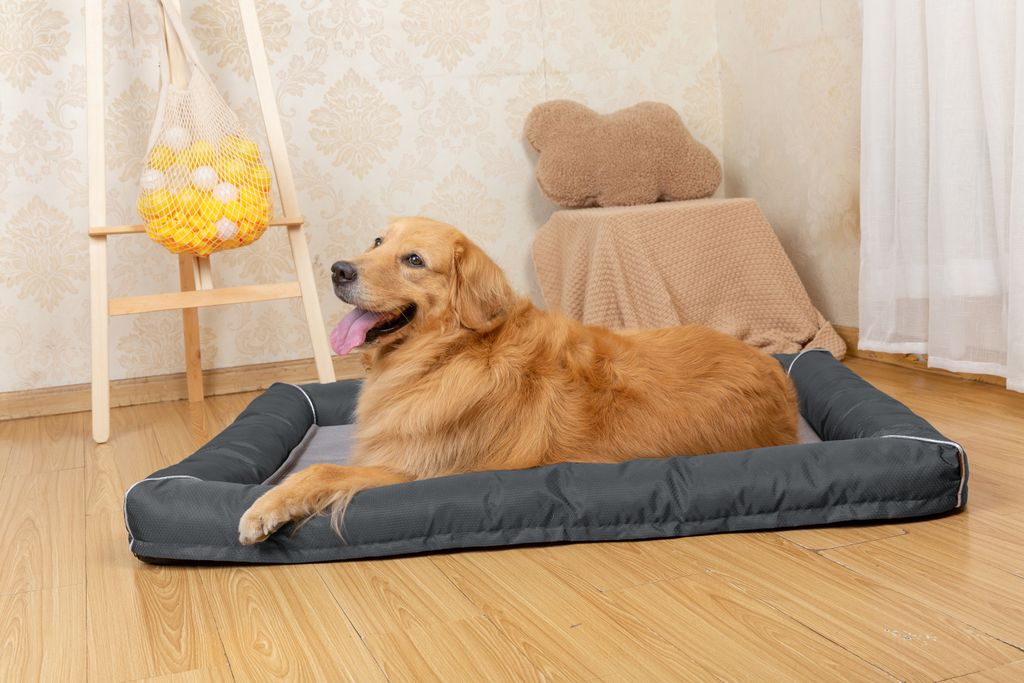 Raikou Hundebett Hundesofa Katzenbett Tierbette Bezug abnehmbar und waschbar Boden wasserabweisend Anti Rutsch Grau Gr. 80*60cm