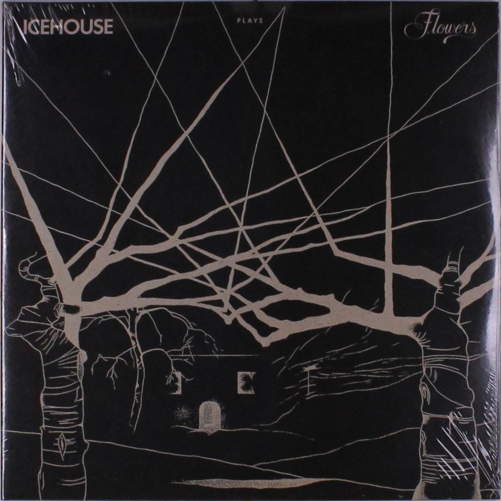 Icehouse: Plays Flowers: Live