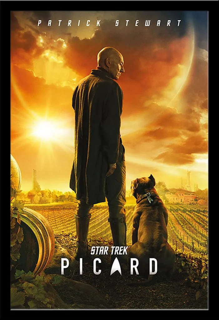 Poster Star Trek encadré prêt à poser : fini les affiches qui gondolent
