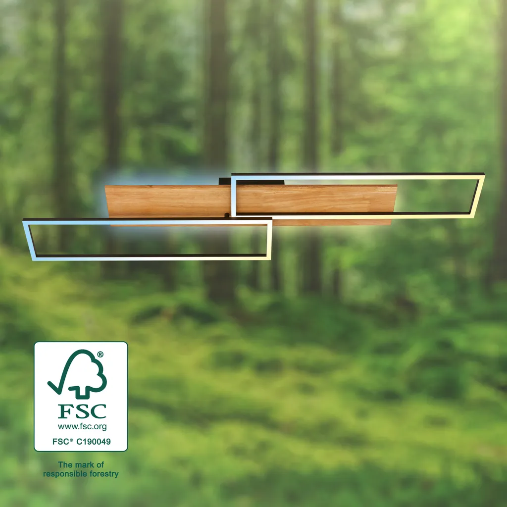 Plafonnier LED Design Noir-Bois Variable avec Télécommande - Pas d'éblouissement