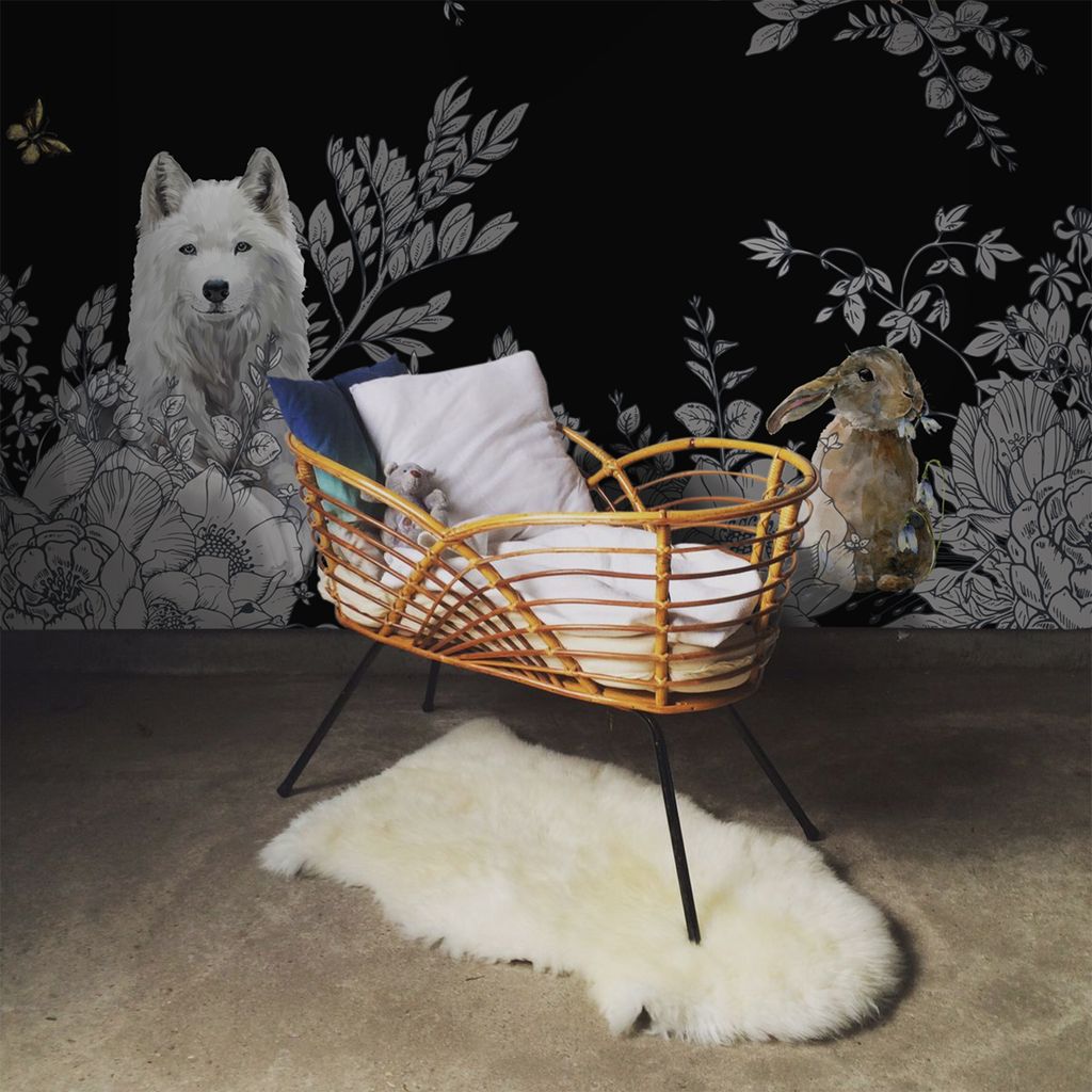 Coloray Fototapete 250x250 cm Vlies-Fototapete - Wald Wildtiere Fairytale Zimmer