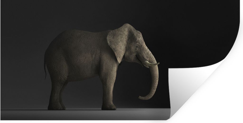 MuchoWow Wandtattoo Wandsticker Wandaufkleber Elefant - Tiere - Licht 120x60 cm Selbstklebend und Repositionierbar