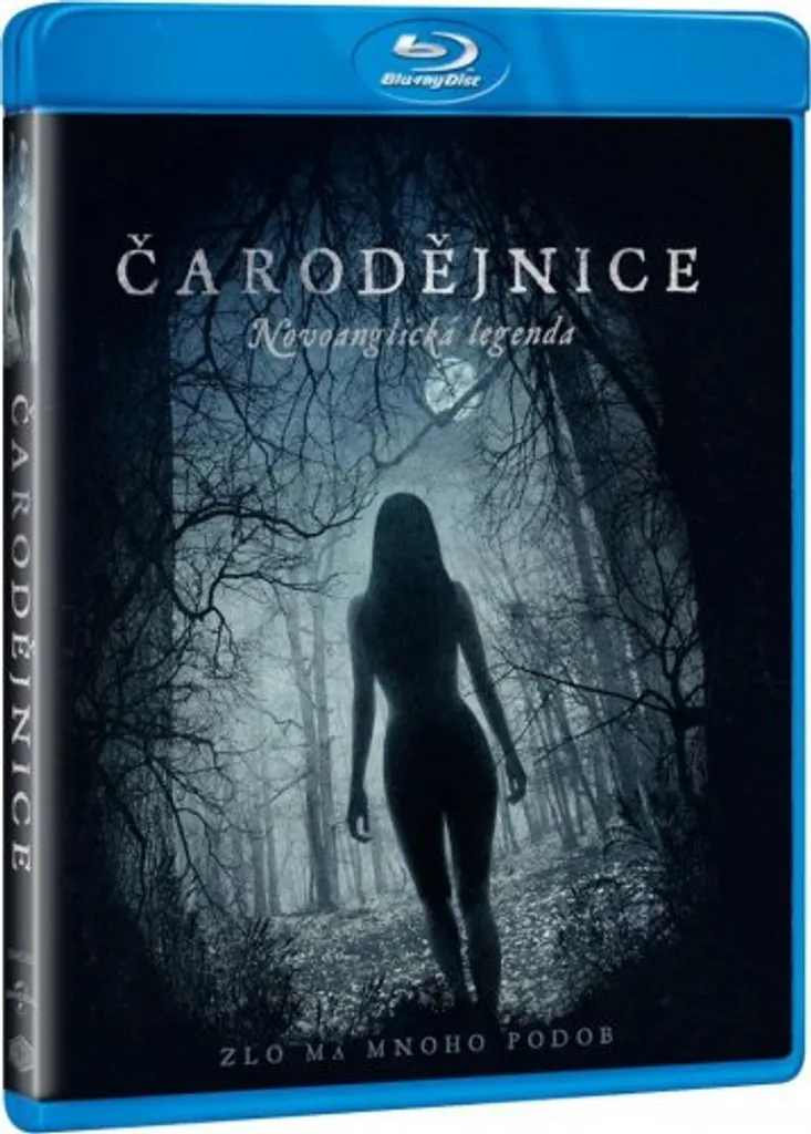 The Witch Blu-ray VO - Qualité Audio Master et Image Cinéma Authentique