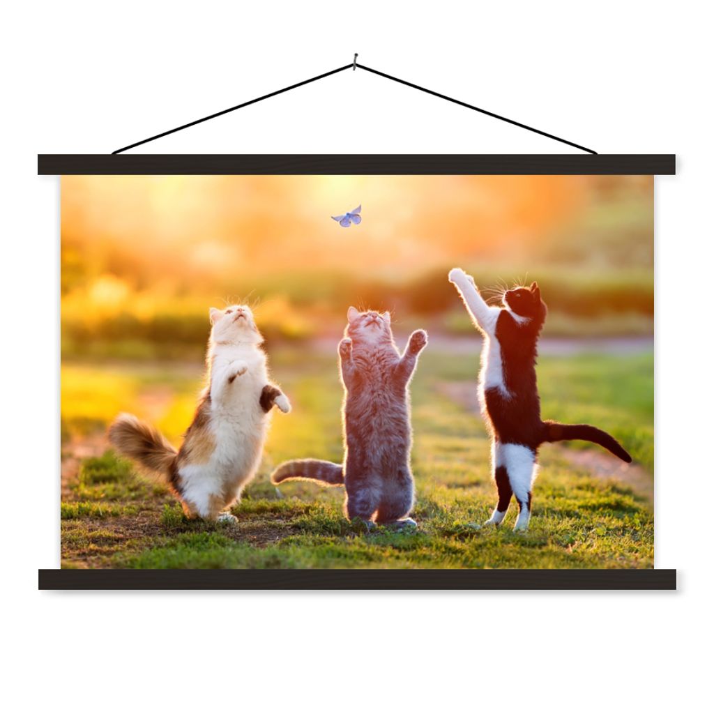MuchoWow Textilposter Katzen - Schmetterling - Sonnenuntergang - Gras - Natur 90x60 cm mit schwarzem Rahmen - Aufhängungssatz