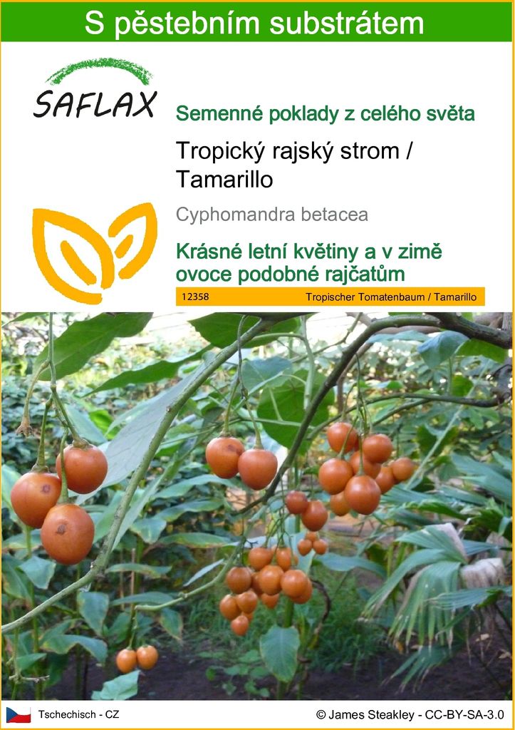 SAFLAX - Tropický rajský strom / Tamarillo - Cyphomandra Obrázek produktu 