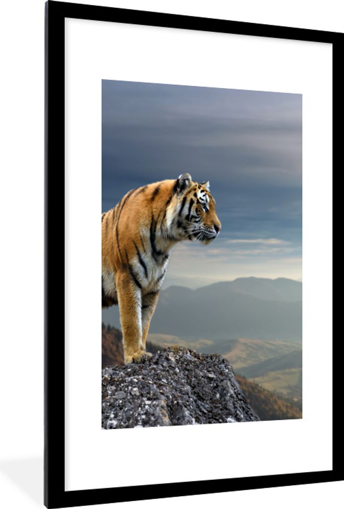 MuchoWow Gerahmtes Poster Tiger - Berg - Natur - Landschaft 60x90 cm - Poster mit Schwarzem Bilderrahmen Wandposter Rahmen Foto Bilder - Dekorati...