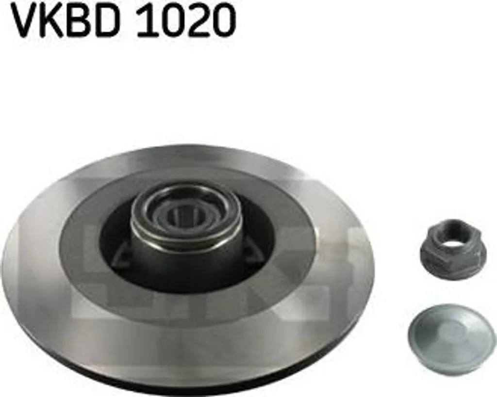 Remplacement Disque de Frein Arrière SKF VKBD 1020 pour Renault Laguna