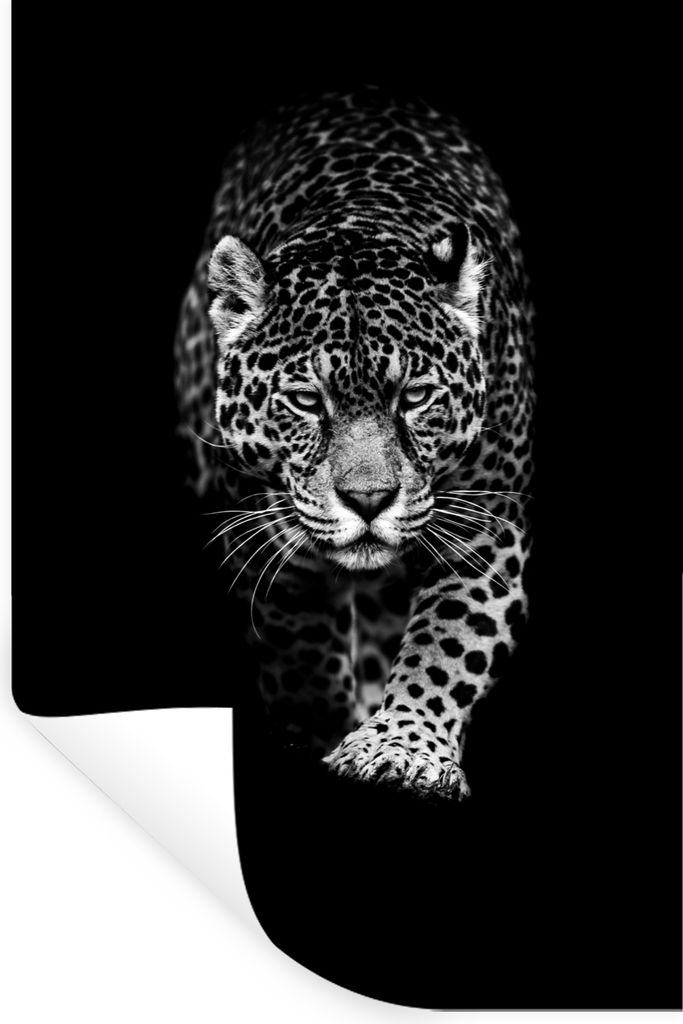MuchoWow Wandtattoo Wandsticker Wandaufkleber Tiere - Schwarz - Leopard - Weiß - Wild 20x30 cm Selbstklebend und Repositionierbar - Sticker - De...