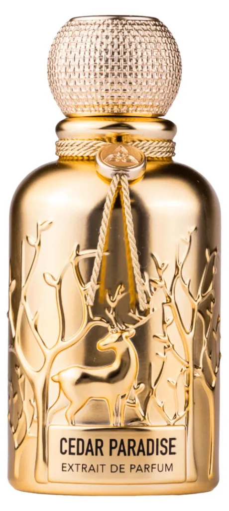 Parfum Homme Intense Cedar Paradise Auraa Desire Tenue Longue Durée 100ml