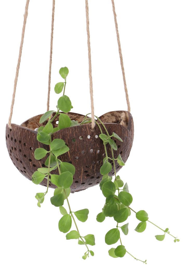 Kokosnuss Teelicht zum Hängen, Natürlicher Dekotopf, Produktbild 