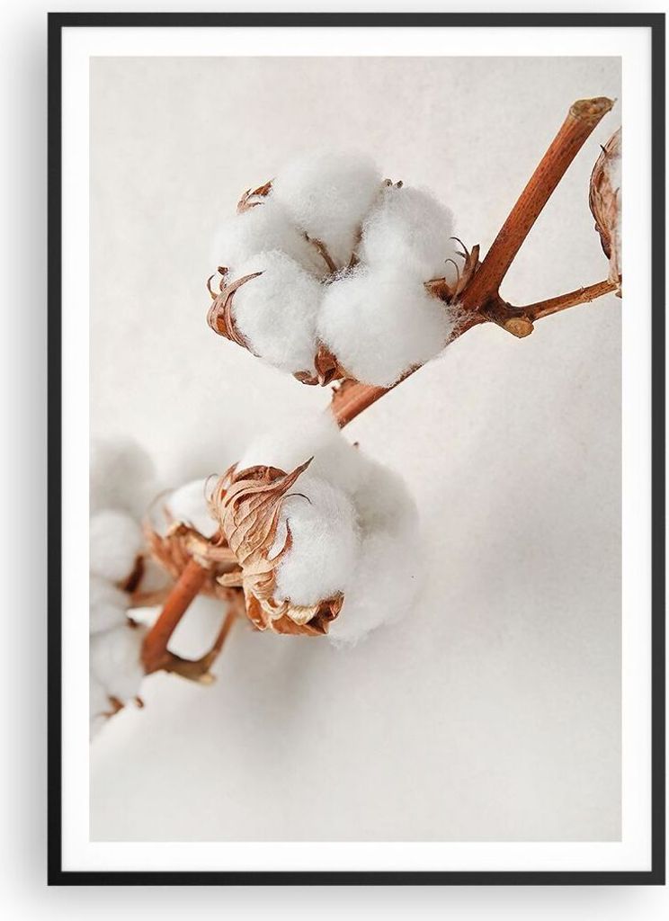 Gerahmtes Poster - Schwarzer Rahmen - Baumwolle Makro Zweig - 70x100 cm - Wand Bild - Wanddeko - Wandbilder - Kunstposter - Wandposter - Bilderrahm...