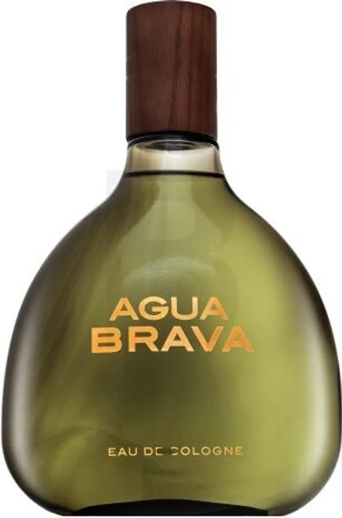 Cologne pour hommes Agua Brava Puig 500 ml parfum fraîcheur quotidienne