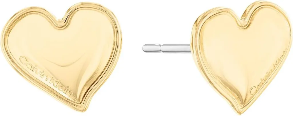 Orecchini Calvin Klein 35000302 Oro e Argento 925: Trend 2025