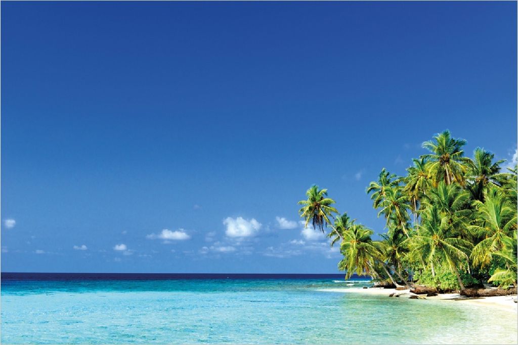 Wallario Poster - Blauer Himmel weißer Strand Palmen und das tiefblaue Meer, Kunstdruck Größe: 100 x 150 cm