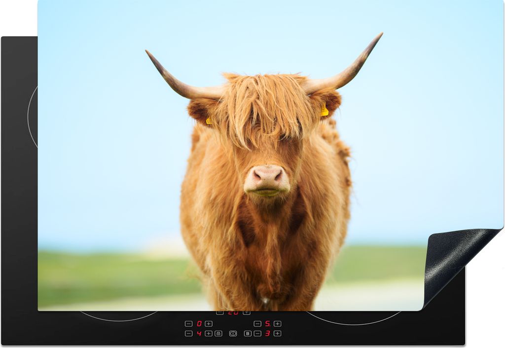 KitchenYeah Herdabdeckplatte Schottischer Highlander - Haare - Gras , 77x51cm, Küche Deko, Glaskeramikkochfeld Herdabdeckung, Abdeckplatte fùr ...