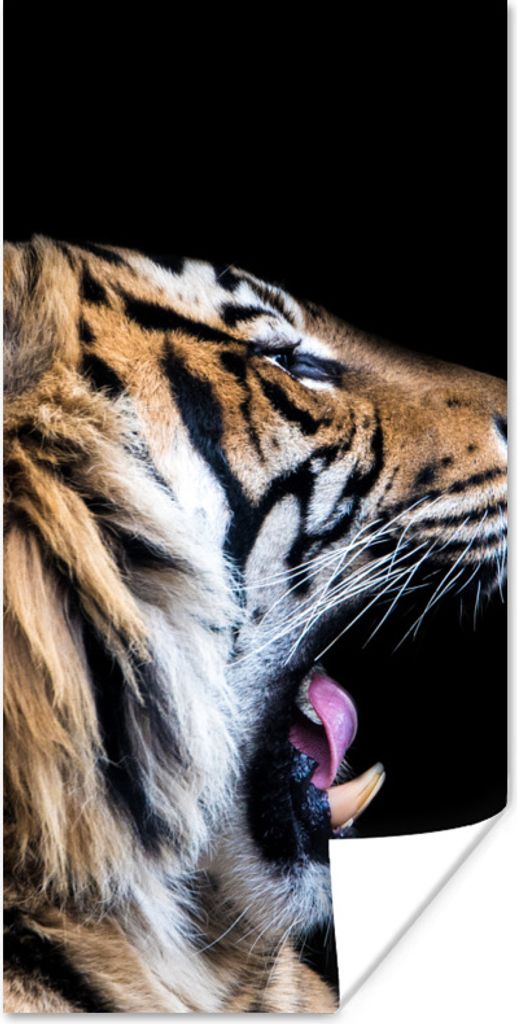 MuchoWow Poster Tiger auf schwarzem Hintergrund 40x80 cm - Dekoration