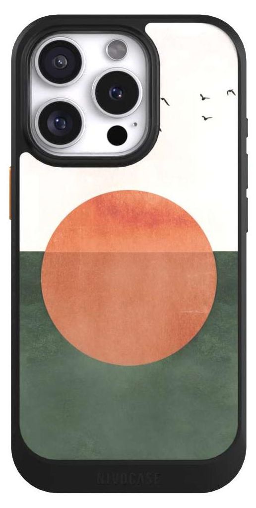 NIVOCASE Hülle für Apple iPhone 16 Pro Handyhülle NIVOcore Case Schwarz Sonnenschein Sonnenuntergang Vogel