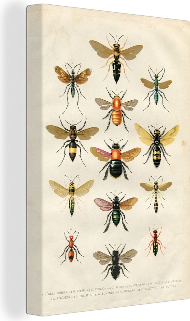 OneMillionCanvasses - Leinwandbilder - 90x140 cm, Eine Illustration einer Gruppe von Bienen vor einem hellen Hintergrund, Wandbilder Kunstdruck W...