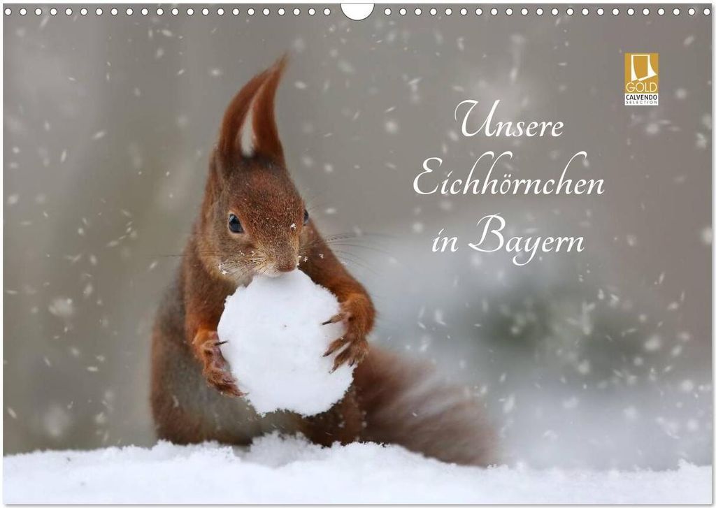 Unsere Eichhörnchen in Bayern (Wandkalender 2026 DIN A3 quer), CALVENDO Monatskalender