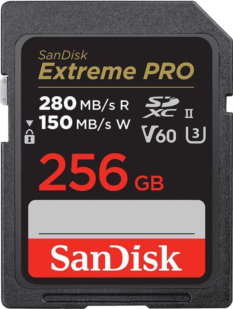 Tarjeta de memoria SanDisk SDSDXEP-256G-GN4IN 256 GB SDXC Imagen del producto 