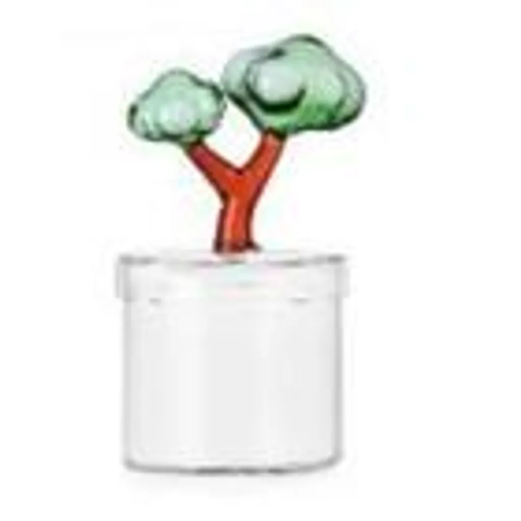 Boîte Talking Trees pour Bijoux et Souvenirs - Écrin de Rangement Bois