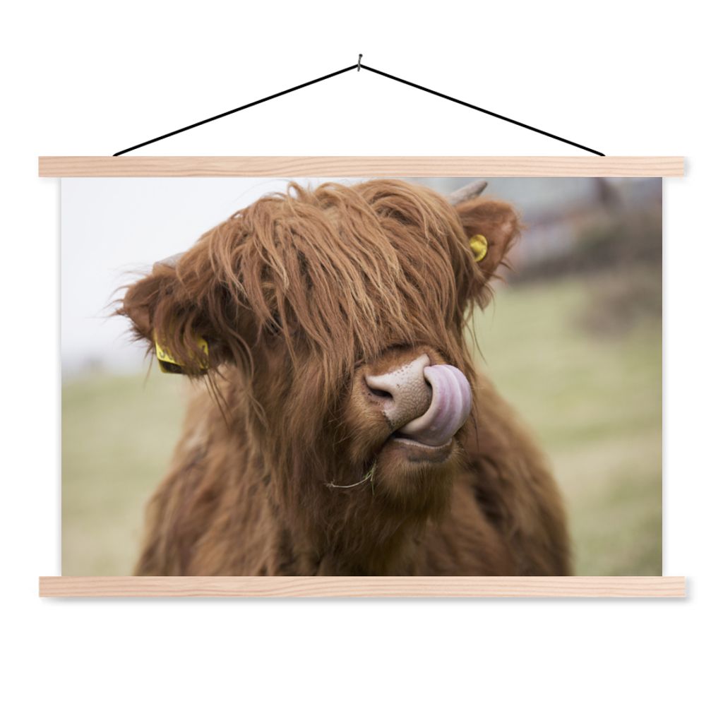 MuchoWow Textilposter Schottischer Highlander - Braun - Kuh 120x80 cm mit holzfarbenen Rahmen - Aufhängeset