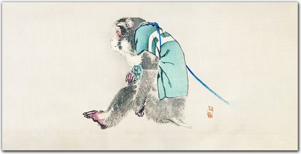 Coloray Küchenrückwand 100x50 Spritzschutz aus Glas - pet monkey