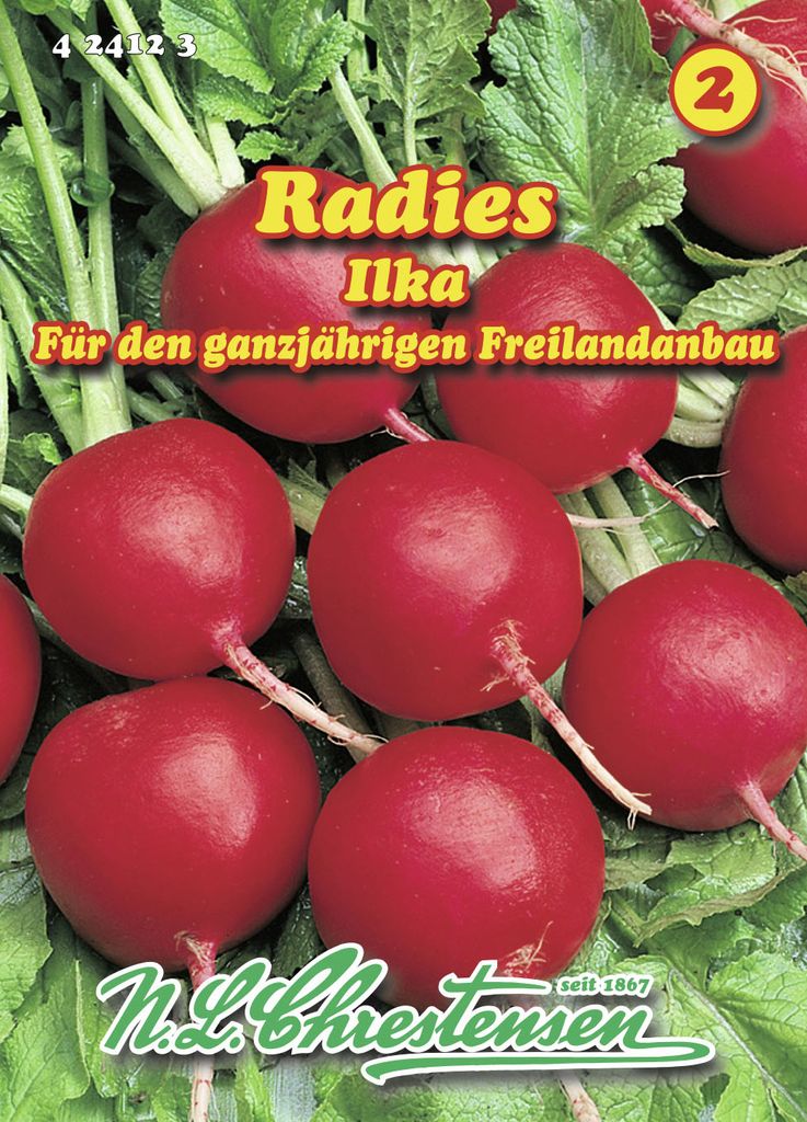 Radies Ilka | Radieschensamen von N.L. Chrestensen