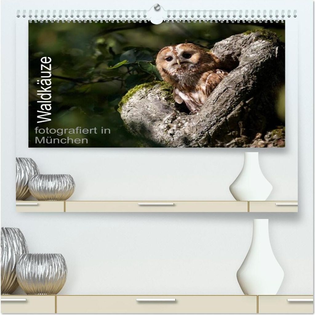 Waldkäuze, fotografiert in München (hochwertiger Premium Wandkalender 2026 DIN A2 quer), Kunstdruck in Hochglanz