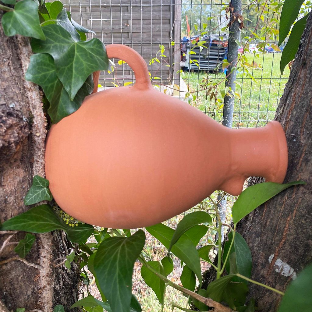 Bouteille nichoir pour moineaux et mésanges Image du produit 