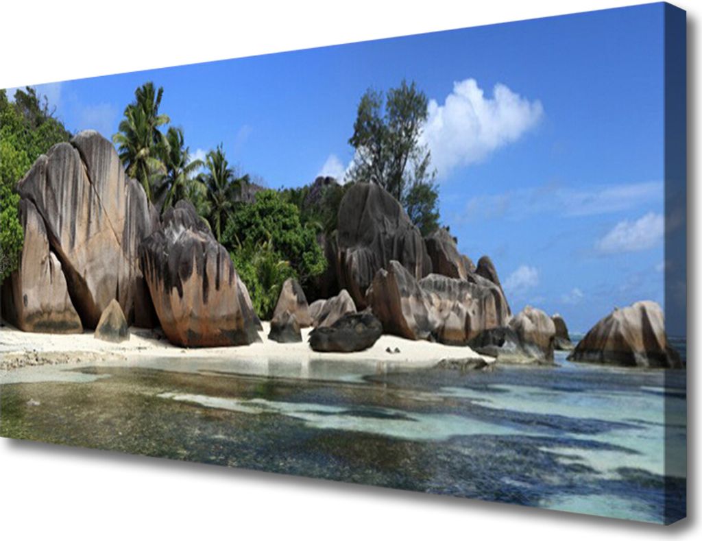 Tulup Leinwand-Bilder 100x50 Wandbild Canvas Kunstdruck Felsen Meer Landschaft