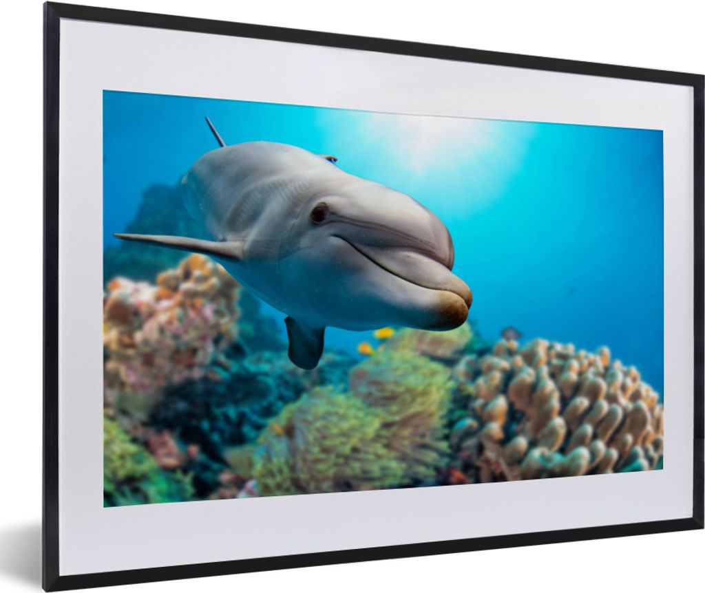 MuchoWow MuchoWow Gerahmtes Poster Delfin - Meer - Koralle 60x40 cm - Poster mit zchwarzem Bilderrahmen - Schlafzimmer - Plakat in Rahmen - Dru...