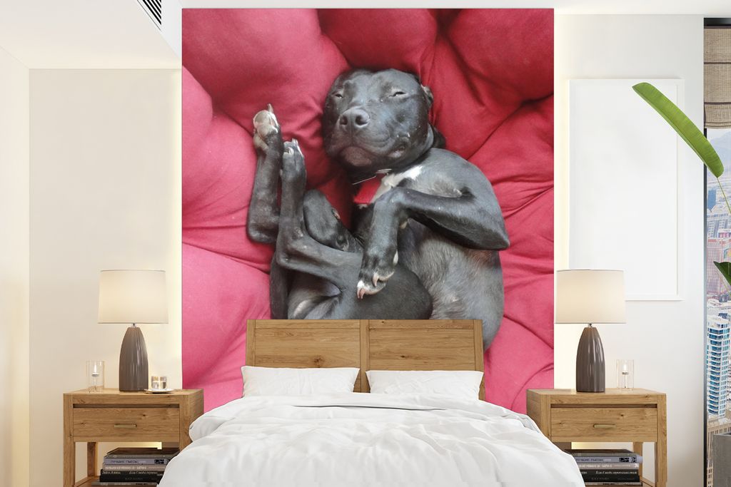 MuchoWow Fototapete für Wohnzimmer oder Schlafzimmer Wandtapete Vinyl Motivtapete Pitbull in einem roten Sessel - 190x260 cm - Papiertapete