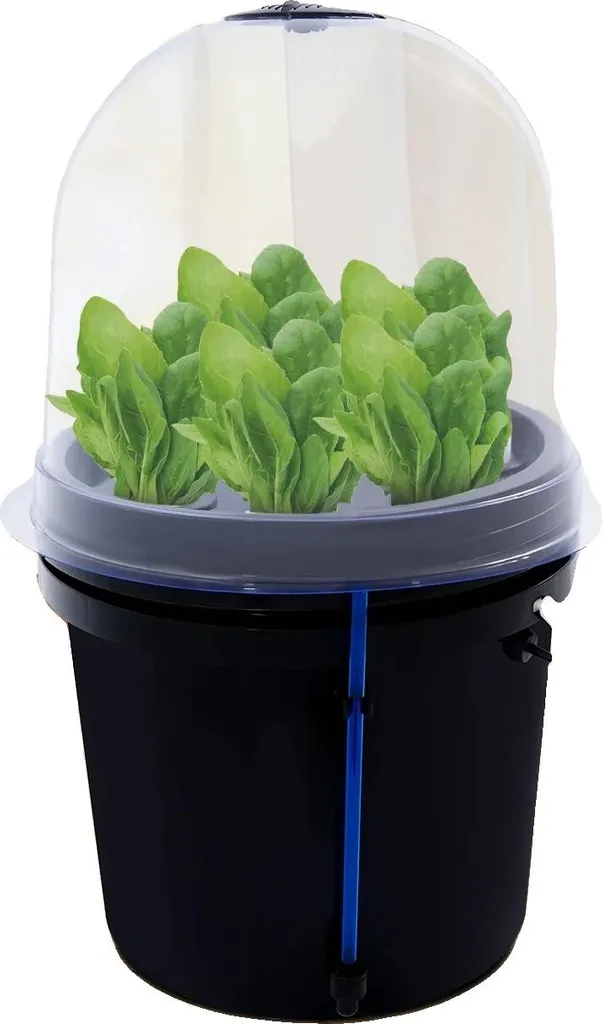 Système hydroponique en eau profonde résistant aux chocs 29 cm