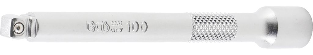 BGS 2231 Kippverlängerung 100 mm, 6,3 (1/4)