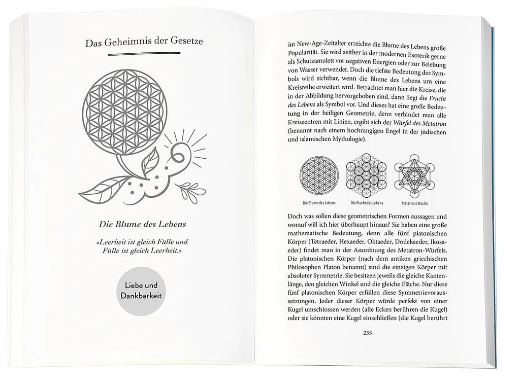 Livre Higher Mind Les Lois de la Conscience version brochée - 5