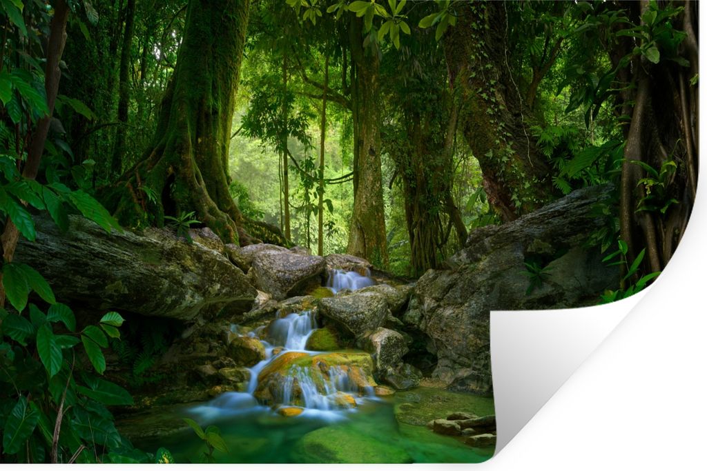 MuchoWow Wandtattoo Wandsticker Wandaufkleber Dschungel - Steine - Wasser - Natur - Pflanzen 30x20 cm Selbstklebend und Repositionierbar - Wierde...