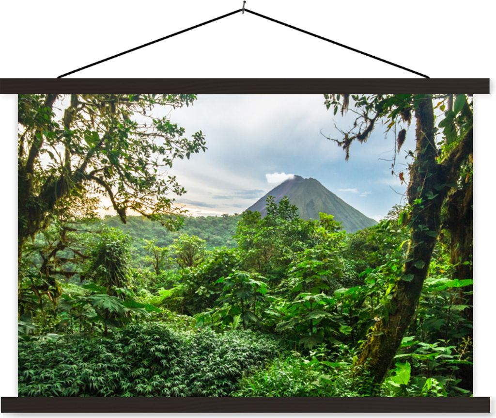 MuchoWow Textilposter Dschungel - Baum - Vulkan - Jungen - Mädchen - Kind 60x40 cm mit schwarzem Rahmen - Hölzernes