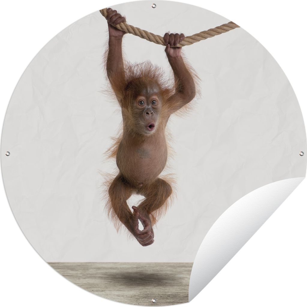 MuchoWow Gartenposter Outdoor-Poster Rund Tiere - Orang-Utan - Orange Ø 150 cm Gartendeko Rundes Poster draußen
