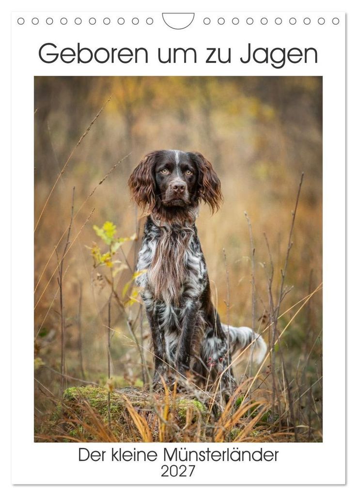 Kalender 2027 · Britische Version · Geboren zur Jagd: Der Produktbild 