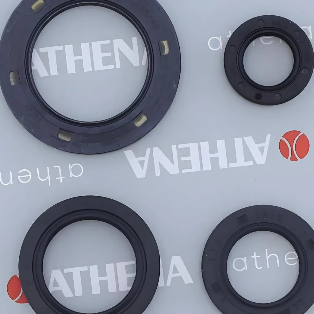 Pochette de joints moteur Athena haute résistance Honda FES 250