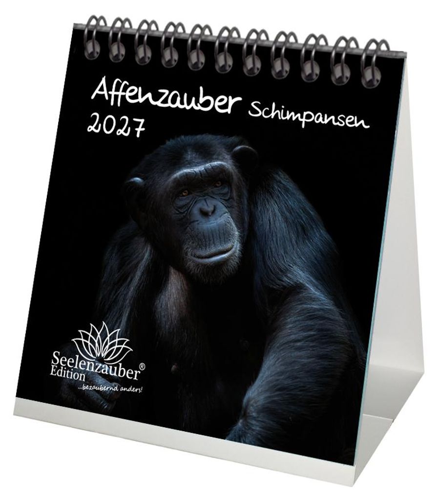 Schimpansenzauber Tischkalender 10x10cm für 2027 Affen - Produktbild 