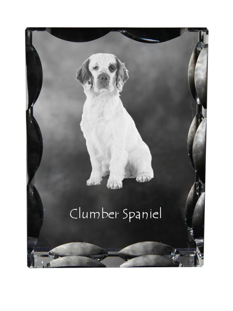 Clumber Spaniel - Kristall mit einem Hundebild, Glasstatuette mit einem Bild, einzigartiger Bilderrahmen der Marke Art-Dog