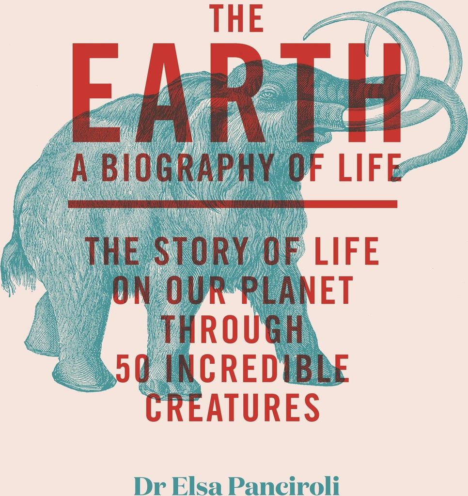 The Earth