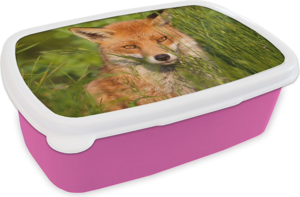 KitchenYeah Lunchbox Brotzeit Brotdose 17x11 cm Rotfuchs - Gras - Augen Kinder Brotzeitdose - Lunchpaket - Brotkasten - Sandwich Box