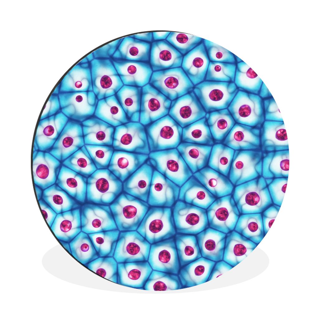 MuchoWow Aluminium Wandkreis Abbildung der Zelle Ø 90 cm Wanddeko Modern Wohnzimmer - Mauerkreis - Wandbilder - Runde Bild - Bild aus Aluminium ...