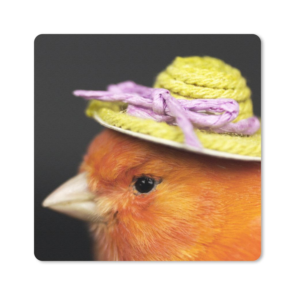 MuchoWow Mauspad Mousepad Vogel - Hut - Orange 20x20 cm - Mousepads - Maus Mat - Pad - Mausunterlage - Desk Mat - Bureauartikeln